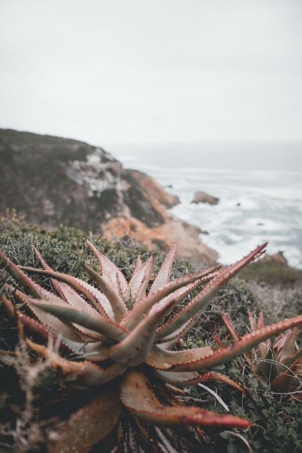 Valhalla Self Catering Mossel Bay Eksteriør bilde